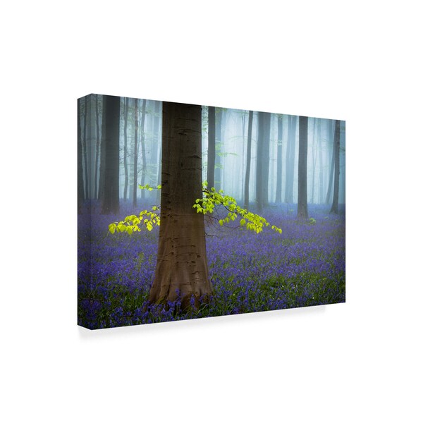 Piet Haaksma 'The Spring Tree' Canvas Art,22x32